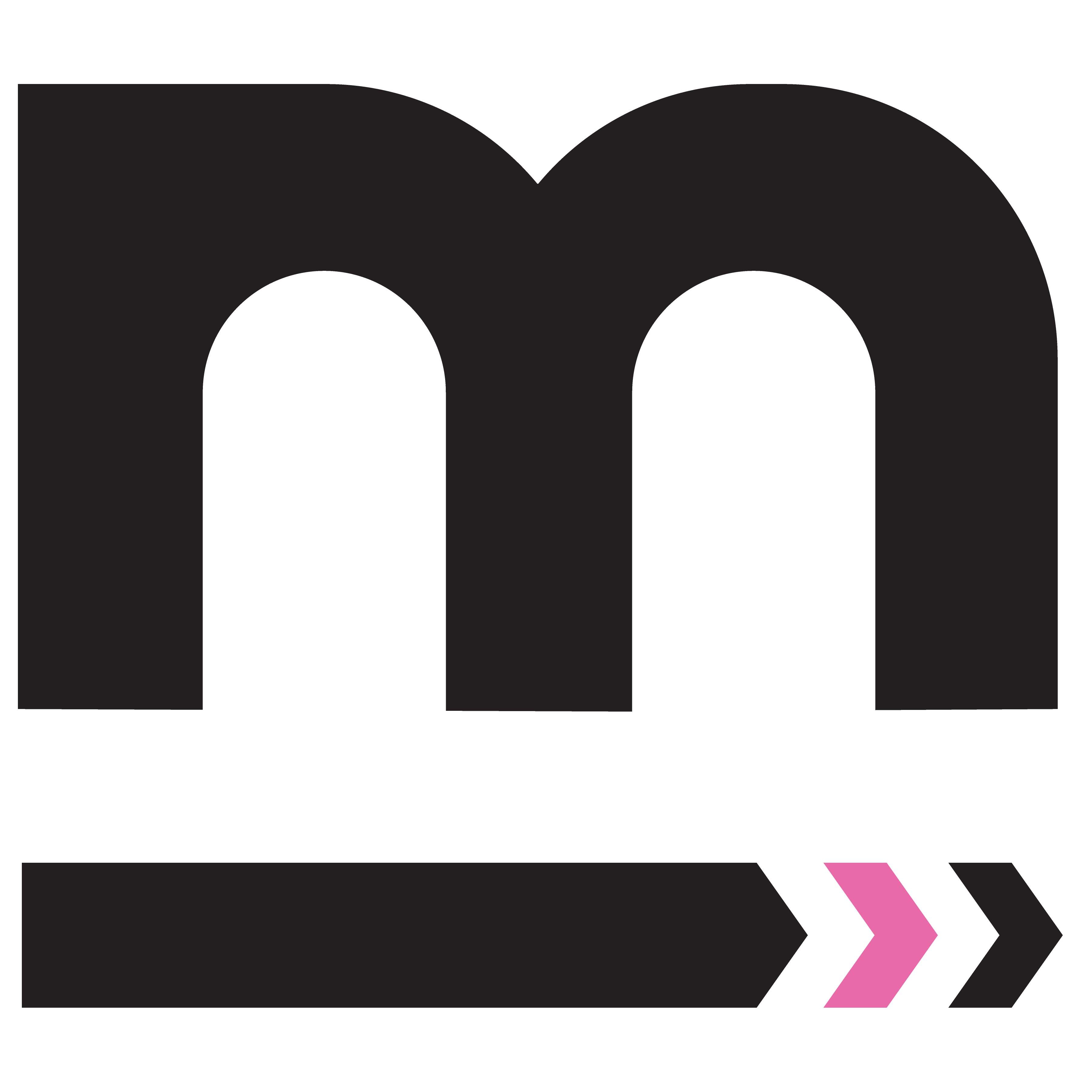 MANNIT (Pty) Ltd Logo